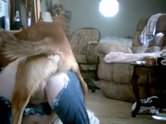 Dog zoophilia in the dog way with a sex-hungry wife